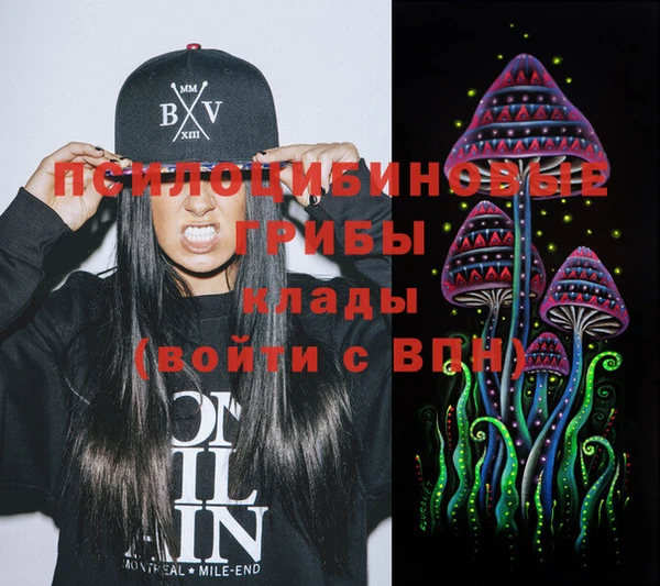 мдпв Армянск