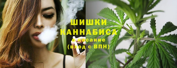 apvp Арсеньев
