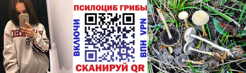 сколько стоит  Рузаевка  Галлюциногенные грибы прущие грибы 